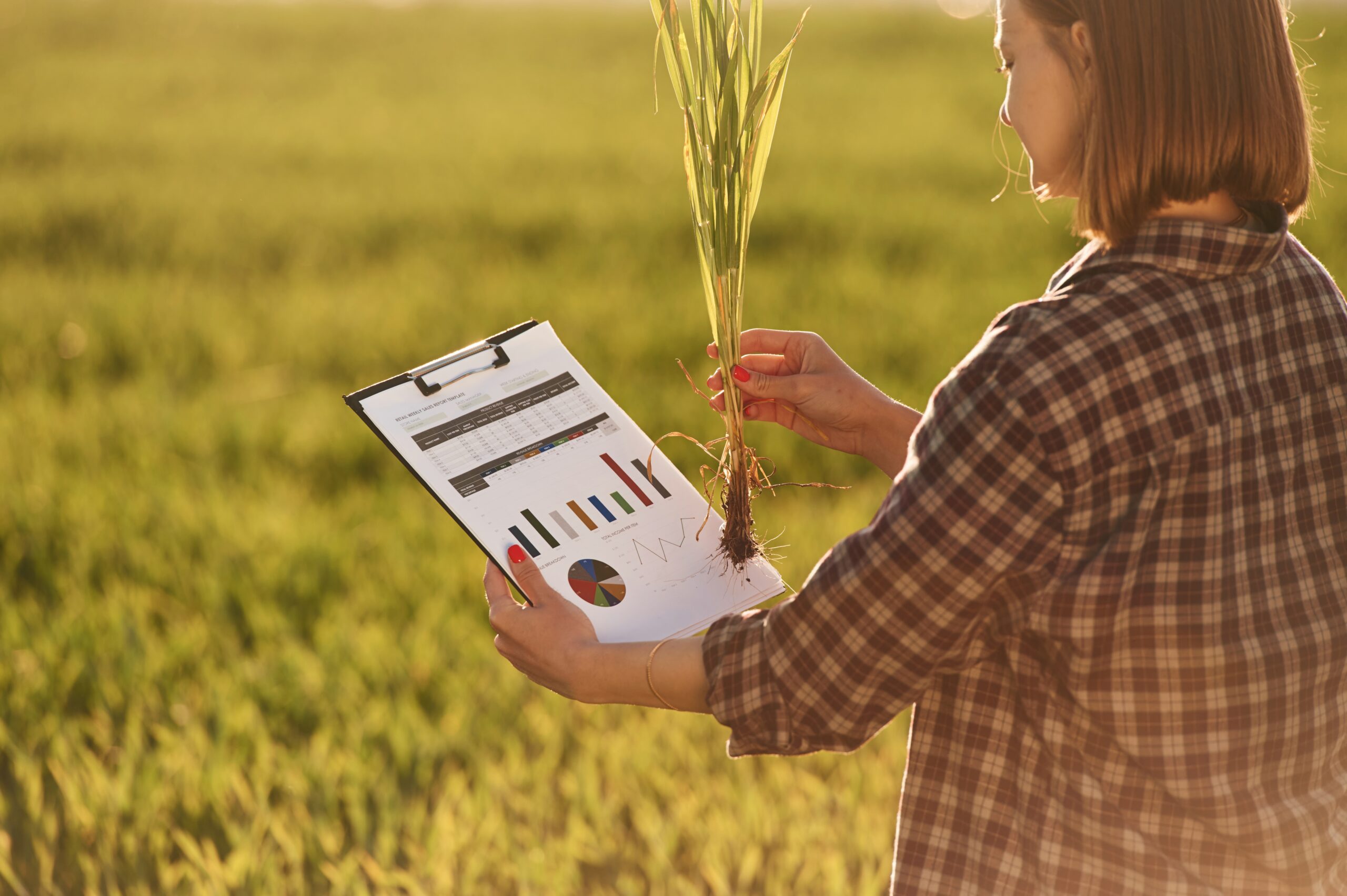 Agricultural Marketing